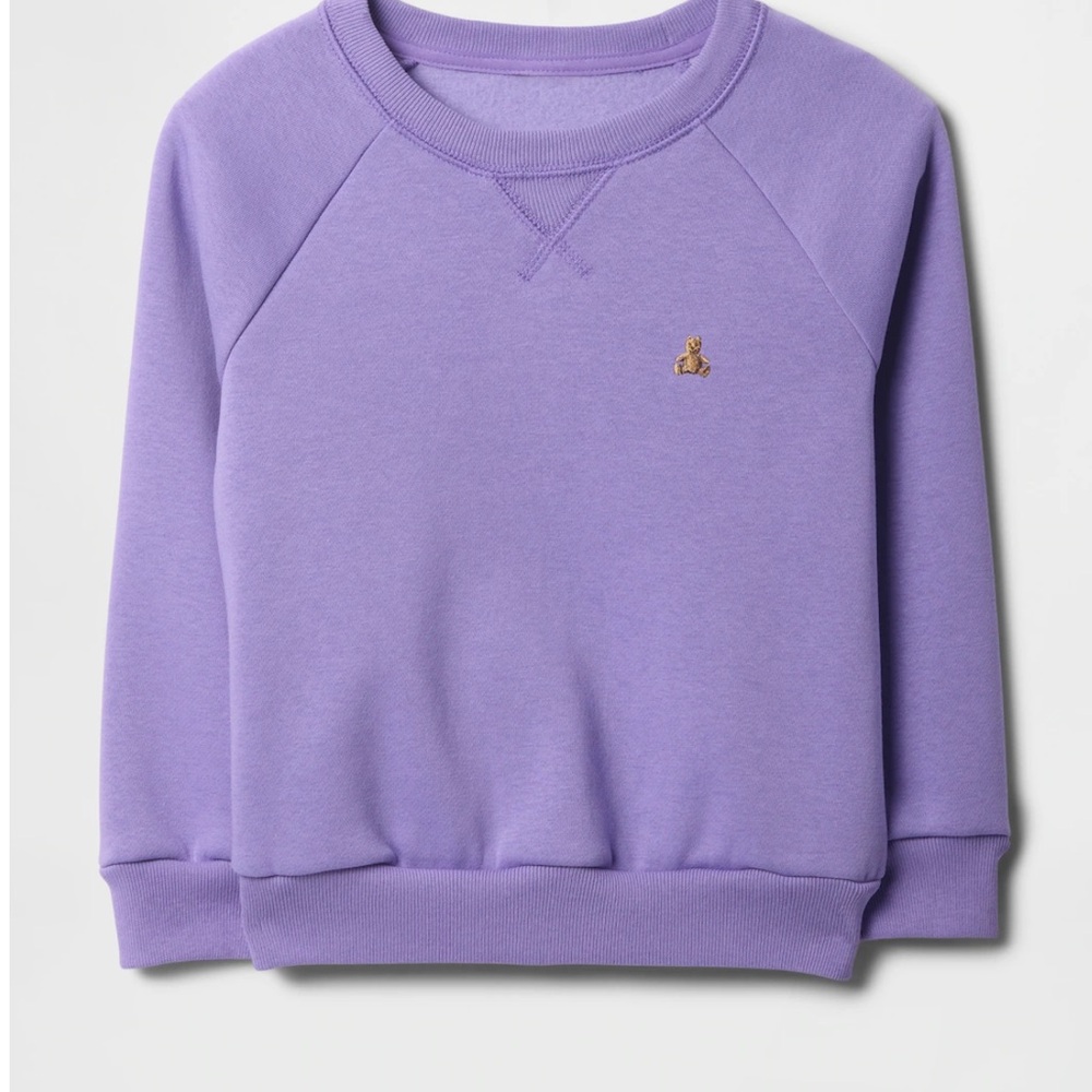 GAP Sweatshirt and Joggers Set